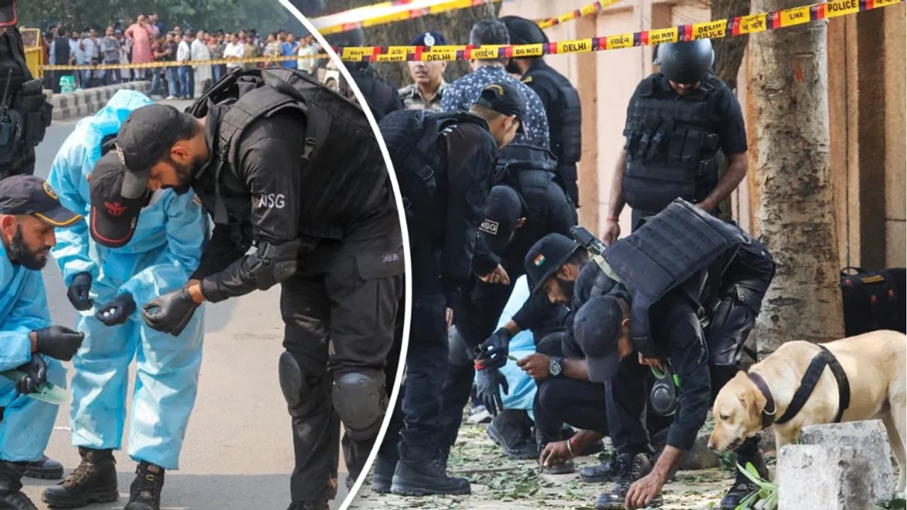 സിആർപിഎഫ് സ്കൂളിലെ സ്ഫോടനം: ദൃശ്യങ്ങളിൽ വെളുത്ത ടീ ഷർട്ട് ധരിച്ചയാൾ, നിർണായക വിവരങ്ങൾ പുറത്ത് സിആർപിഎഫ് സ്കൂളിലെ സ്ഫോടനം: ദൃശ്യങ്ങളിൽ വെളുത്ത ടീ ഷർട്ട് ധരിച്ചയാൾ, നിർണായക വിവരങ്ങൾ പുറത്ത്