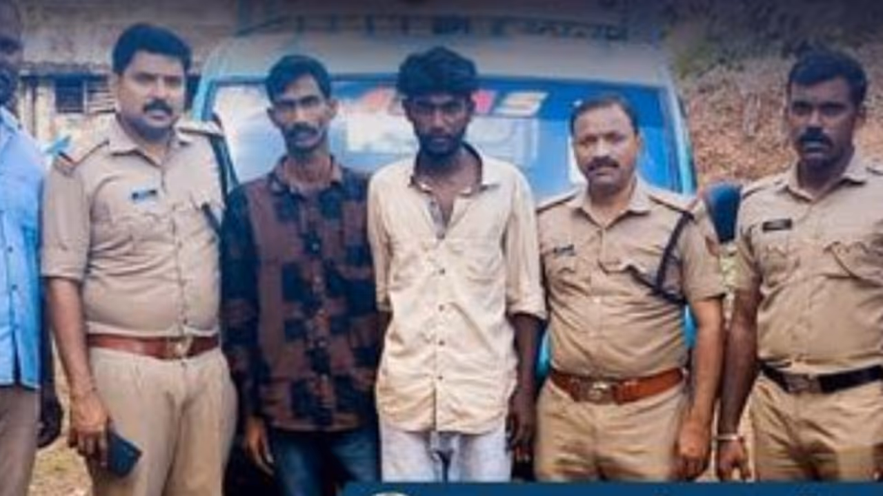 പത്തനാപുരം സ്വദേശിയായ 2 യുവാക്കൾ, അടൂരിൽ വെച്ച് വാഹനം തടഞ്ഞു; പരിശോധിച്ചപ്പോൾ കിട്ടിയത് 3.5 കിലോ കഞ്ചാവ്! പത്തനാപുരം സ്വദേശിയായ 2 യുവാക്കൾ, അടൂരിൽ വെച്ച് വാഹനം തടഞ്ഞു; പരിശോധിച്ചപ്പോൾ കിട്ടിയത് 3.5 കിലോ കഞ്ചാവ്!