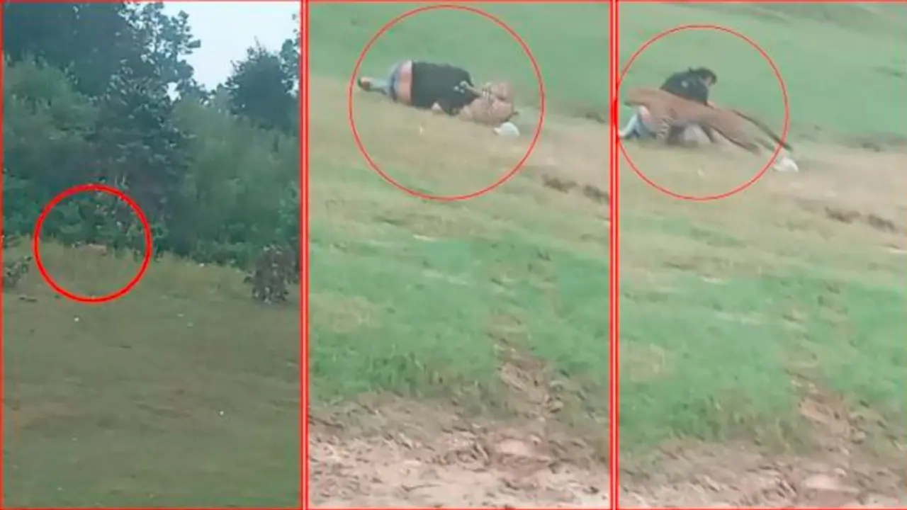 ವೀಕೆಂಡ್ ಪಿಕ್ನಿಕ್ ಅಂತ ಕಾಡಿಗೆ ಬಂದವರ ಮೇಲೆ ಚಿರತೆ ದಾಳಿ: ಮೂವರಿಗೆ ಗಂಭೀರ ಗಾಯ ವೀಕೆಂಡ್ ಪಿಕ್ನಿಕ್ ಅಂತ ಕಾಡಿಗೆ ಬಂದವರ ಮೇಲೆ ಚಿರತೆ ದಾಳಿ: ಮೂವರಿಗೆ ಗಂಭೀರ ಗಾಯ