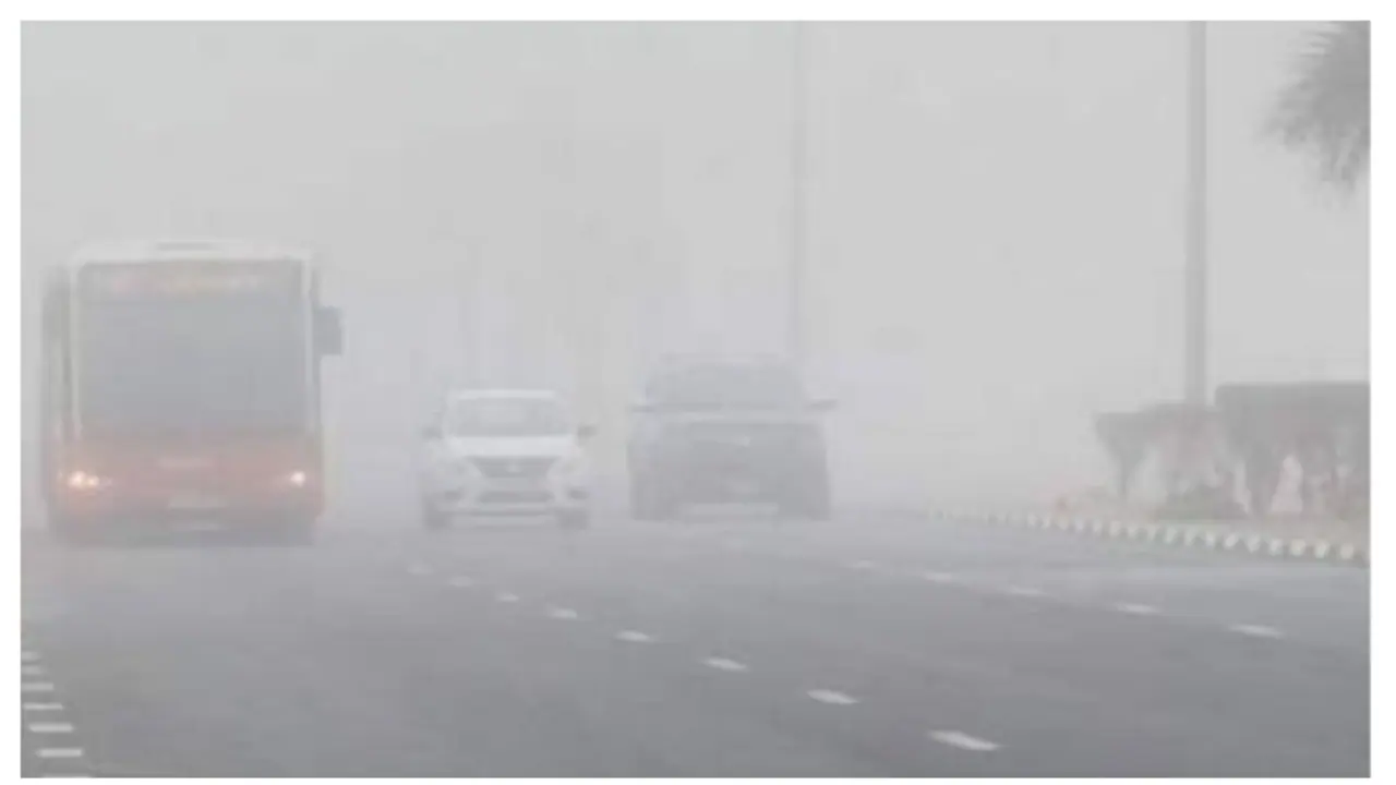 Delhi weather update: National capital shivers at 5°C, GRAP 4 in effect; Cold wave grips North India