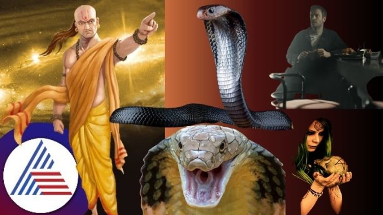 ಚಾಣಕ್ಯ ನೀತಿ; ಈ ಮೂವರು ಹಾವಿಗಿಂತಲೂ ವಿಷಕಾರಿ, ಎಂದಿಗೂ ಅವರ ಬಳಿ ಸಹಾಯ ಕೇಳಬೇಡಿ ಚಾಣಕ್ಯ ನೀತಿ; ಈ ಮೂವರು ಹಾವಿಗಿಂತಲೂ ವಿಷಕಾರಿ, ಎಂದಿಗೂ ಅವರ ಬಳಿ ಸಹಾಯ ಕೇಳಬೇಡಿ