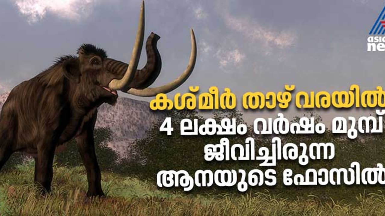 കശ്മീര്‍ താഴ്വാരയിൽ കണ്ടെത്തിയത് നാല് ലക്ഷം പഴക്കമുള്ള ആനയുടെ ഫോസില്‍; വേട്ടയ്ക്ക് ഉപയോഗിച്ചത് കല്ലായുധം 