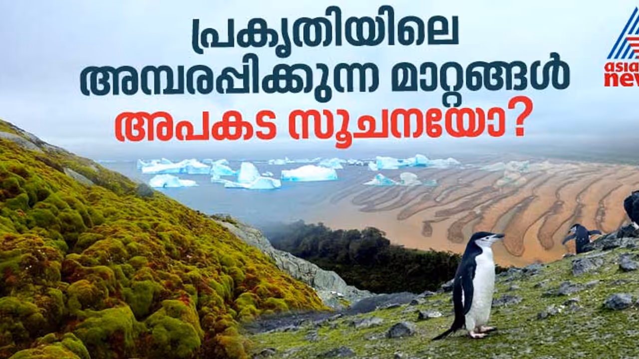അന്‍റാർട്ടിക്ക, സഹാറ, ആമസോൺ, അസംഭവ്യമെന്ന് ഇതുവരെ കരുതിയ മാറ്റങ്ങൾ! പ്രകൃതിയിലെ മാറ്റങ്ങൾ അപകട സൂചനയോ?