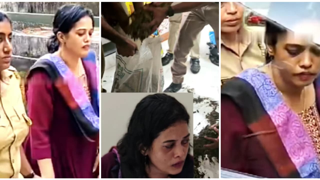 നെടുമങ്ങാട്ടെ വാടക വീട്ടിൽ 3 ചാക്കുകളിലായി ഒളിപ്പിച്ചിരുന്നത് കഞ്ചാവ്; യുവതി അറസ്റ്റിൽ, ഭർത്താവ് ഓടിപ്പോയി