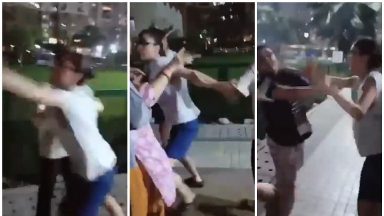 പട്ടിയുടെ കഴുത്തില്‍ ബെല്‍റ്റ് കെട്ടാന്‍ ആവശ്യപ്പെട്ടു, യുവതി വൃദ്ധ ദമ്പതികളെ തല്ലി; വീഡിയോയ്ക്ക് വിമര്‍ശനം 