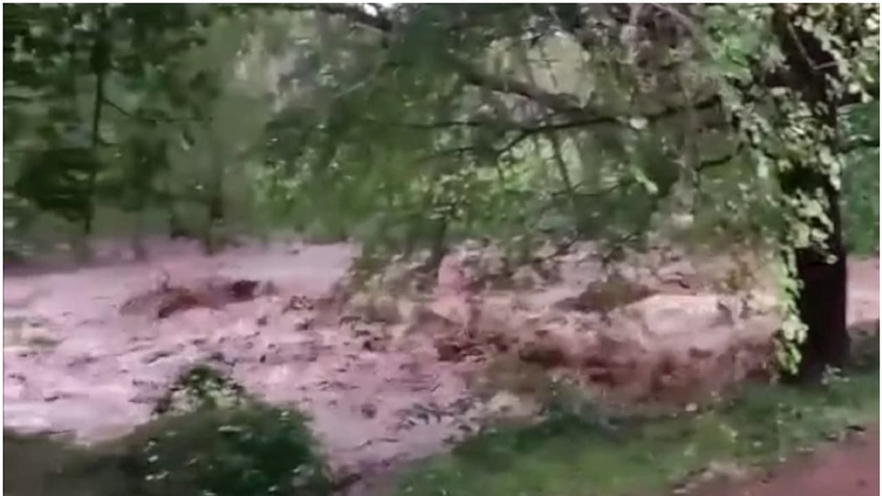 പാലക്കാട് മലമ്പുഴയിൽ ഉരുൾപ്പൊട്ടൽ സംശയം, കല്ലമ്പുഴയിൽ ജലനിരപ്പ് ഉയർന്നു പാലക്കാട് മലമ്പുഴയിൽ ഉരുൾപ്പൊട്ടൽ സംശയം, കല്ലമ്പുഴയിൽ ജലനിരപ്പ് ഉയർന്നു