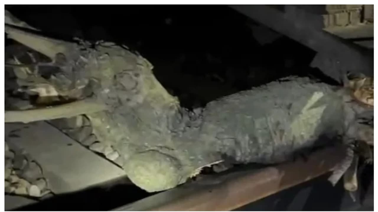 റെയിൽവേ ട്രാക്കിലെ 10 കിലോയുള്ള മരകുറ്റിയുമായി ട്രെയിൻ പാഞ്ഞത് ഏറെ ദൂരം; ആശങ്ക ഉയര്‍ത്തുന്ന അട്ടിമറിശ്രമങ്ങൾ