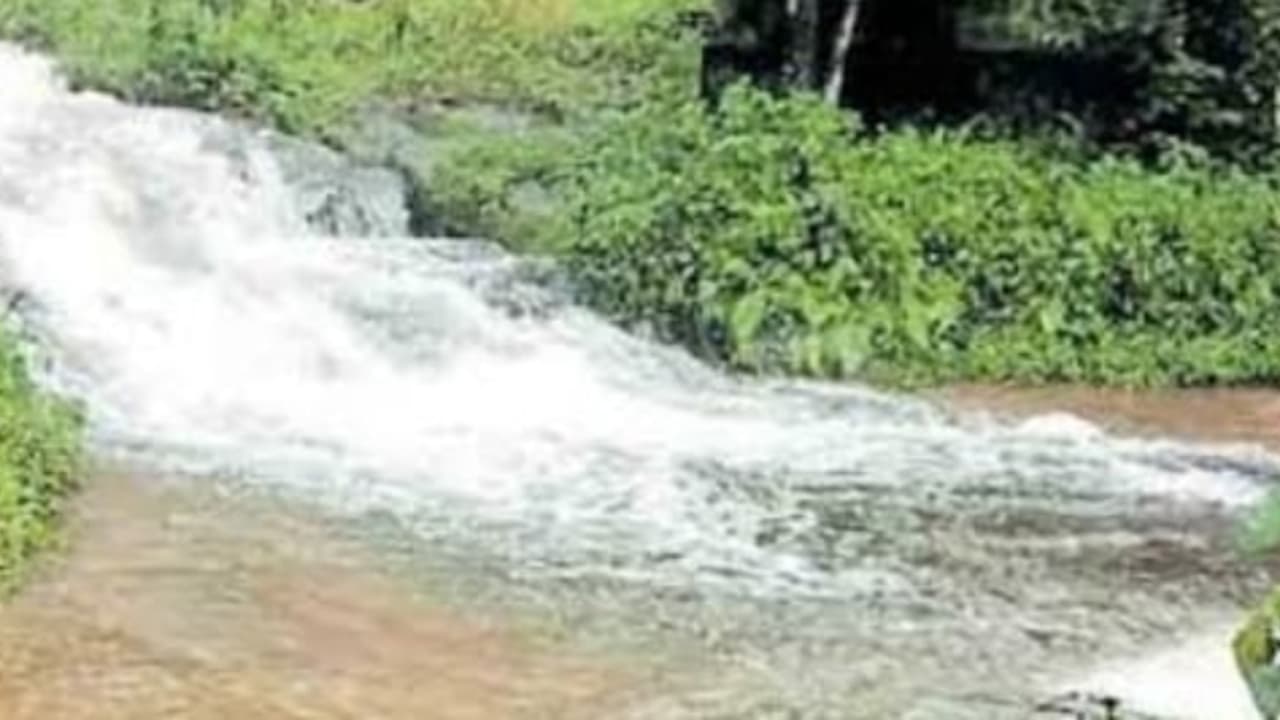 കനത്ത മഴയിൽ തോട് കവിഞ്ഞ് റോഡിലെത്തി, സ്കൂട്ടർ യാത്രികൻ ഒഴുക്കിൽപ്പെട്ടു, വാഹനം ഒഴുകിപ്പോയി; തലനാരിഴക്ക് രക്ഷ! കനത്ത മഴയിൽ തോട് കവിഞ്ഞ് റോഡിലെത്തി, സ്കൂട്ടർ യാത്രികൻ ഒഴുക്കിൽപ്പെട്ടു, വാഹനം ഒഴുകിപ്പോയി; തലനാരിഴക്ക് രക്ഷ!