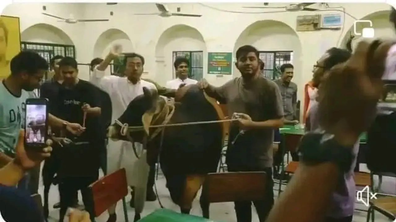 Bangladesh university students threaten to slaughter cow, demand beef at Hindu canteen; spark outrage (WATCH)