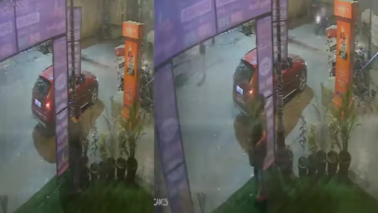 Caught on camera: Woman arrives in BMW, steals flower pot kept outside shop in Noida (WATCH)