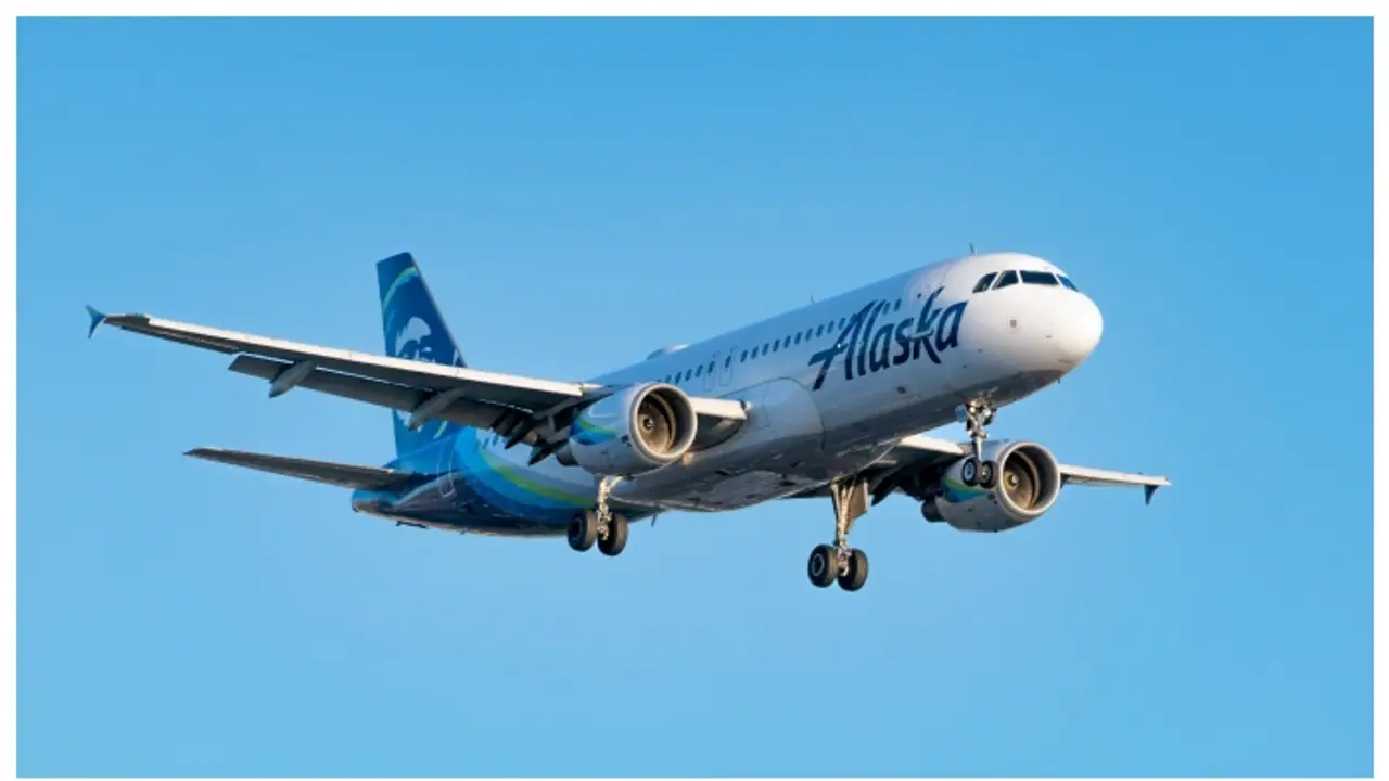 ഫസ്റ്റ് ക്ലാസില്‍ നിന്ന് ഇക്കോണമിയിലേക്ക് മാറി, വിമാന യാത്രയ്ക്കിടെ തന്‍റെ നായ ചത്തെന്ന് പരാതിയുമായി യുവാവ്