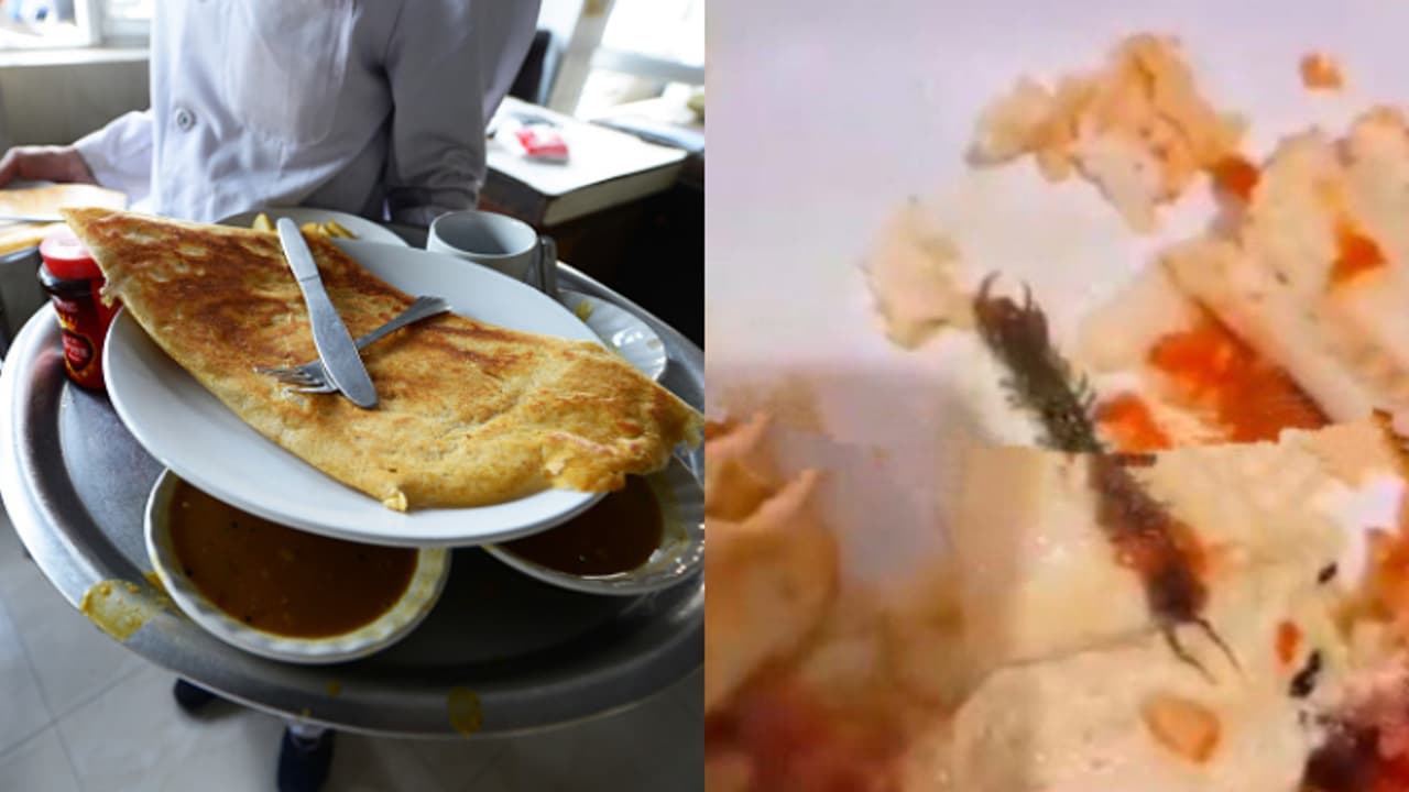 മസാല ദോശയിൽ ചത്ത പഴുതാര, പരാതിപ്പെട്ടിട്ടും അനക്കമില്ല, ഗുരുവായൂരിലെ ഇന്ത്യൻ കോഫി ഹൗസിനെതിരെ നടപടി മസാല ദോശയിൽ ചത്ത പഴുതാര, പരാതിപ്പെട്ടിട്ടും അനക്കമില്ല, ഗുരുവായൂരിലെ ഇന്ത്യൻ കോഫി ഹൗസിനെതിരെ നടപടി