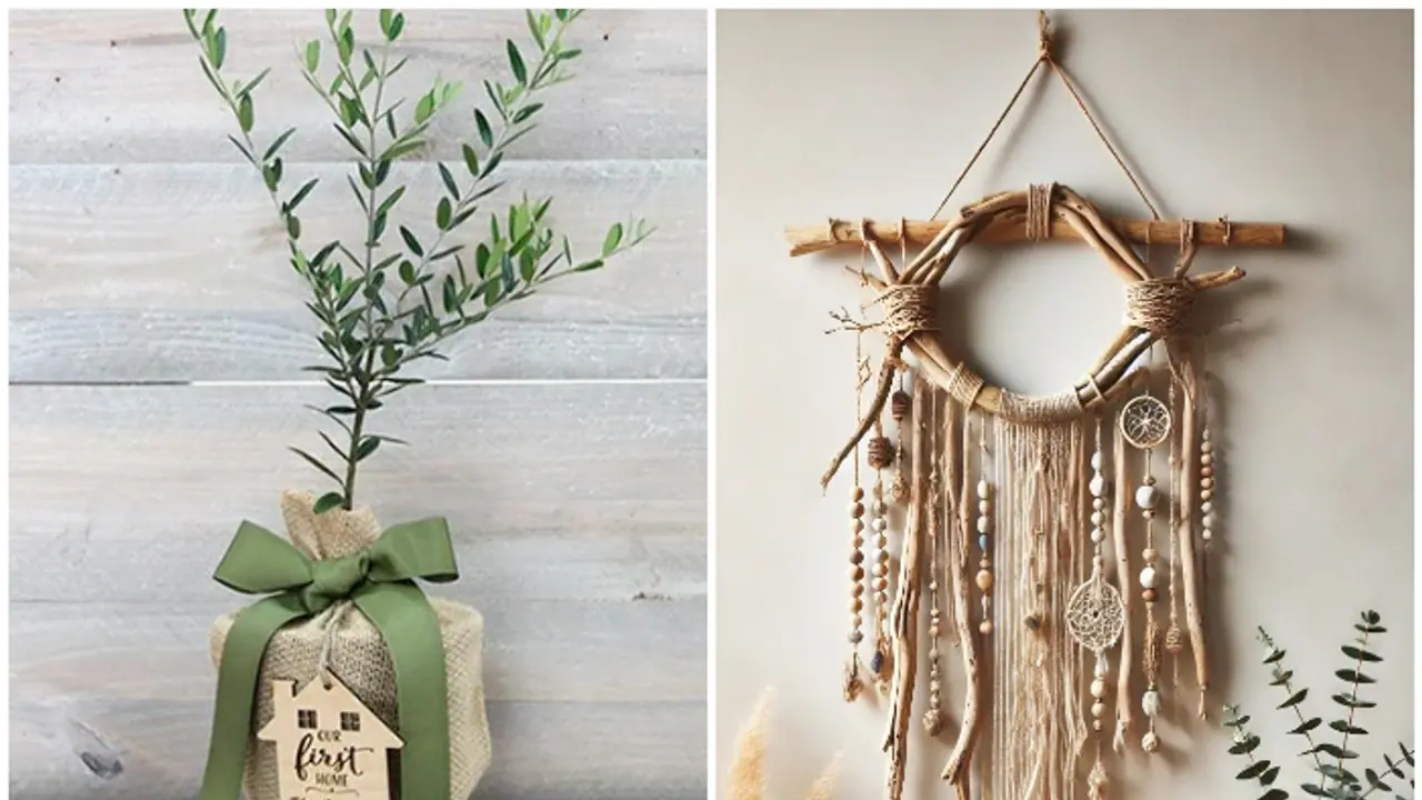 Diwali 2024: 5 eco friendly gifting ideas for a greener celebration Diwali 2024: 5 eco friendly gifting ideas for a greener celebration