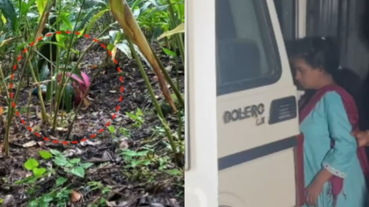 'പലതവണ ചോദ്യം ചെയ്തു, ഒടുവിൽ ചിഞ്ചു സമ്മതിച്ചു'; മകൾ കരഞ്ഞപ്പോൾ എടുത്ത് ചുമരിലേക്കെറിഞ്ഞു, ക്രൂര കൊലപാതകം! 'പലതവണ ചോദ്യം ചെയ്തു, ഒടുവിൽ ചിഞ്ചു സമ്മതിച്ചു'; മകൾ കരഞ്ഞപ്പോൾ എടുത്ത് ചുമരിലേക്കെറിഞ്ഞു, ക്രൂര കൊലപാതകം!