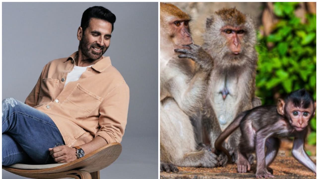 അയോധ്യയിലെ കുരങ്ങുകൾക്ക് ഭക്ഷണം നല്‍കാന്‍ ഒരു കോടി സംഭാവന നല്‍കി അക്ഷയ് കുമാര്‍