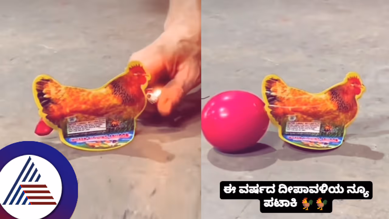 ದೀಪಾವಳಿ ಧಮಾಕಾ! ಕೋಳಿಗೆ ಬೆಂಕಿ ಹಚ್ಚಿದ್ರೆ ಮೊಟ್ಟೆ ಇಡತ್ತೆ: ವೈರಲ್​ ಆಗಿದೆ ನೋಡಿ ಈ ವಿಡಿಯೋ