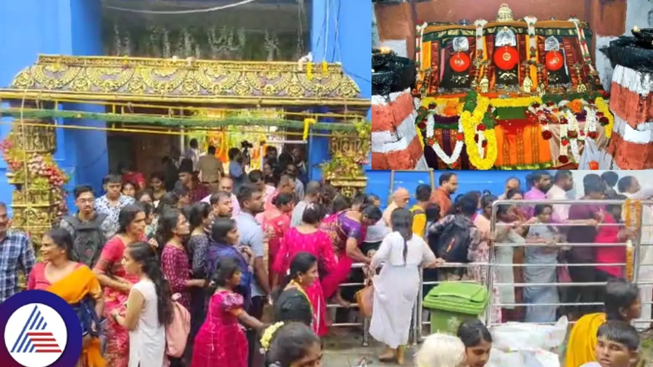 ಹಾಸನಾಂಬೆ ದರ್ಶನ: ವಿಐಪಿ ಪಾಸ್ ರದ್ದು, ಬಸ್ ಸಂಚಾರವೂ ಸ್ಥಗಿತ! ಹಾಸನಾಂಬೆ ದರ್ಶನ: ವಿಐಪಿ ಪಾಸ್ ರದ್ದು, ಬಸ್ ಸಂಚಾರವೂ ಸ್ಥಗಿತ!