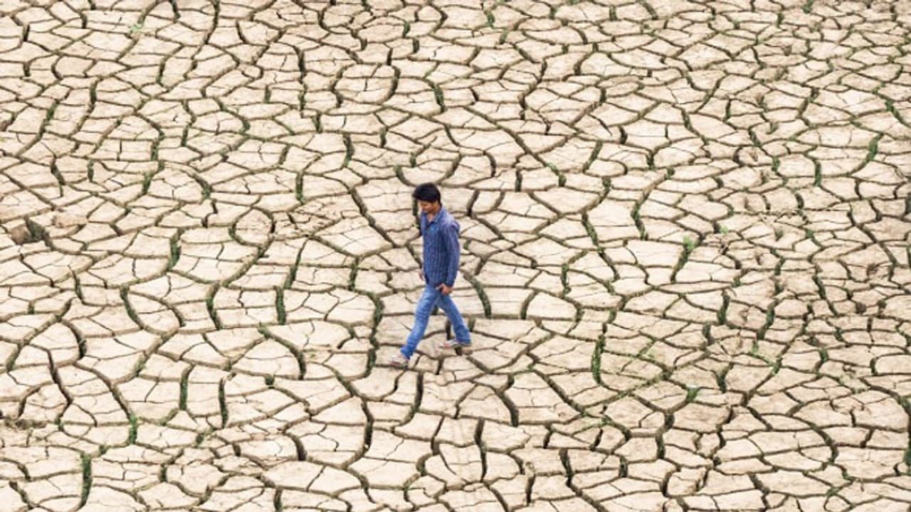 ചരിത്രത്തിലെ ഏറ്റവും ചൂടേറിയ വര്ഷം 2024; യൂറോപ്യന് ഏജന്സിയുടെ റിപ്പോര്ട്ട് ചരിത്രത്തിലെ ഏറ്റവും ചൂടേറിയ വര്ഷം 2024; യൂറോപ്യന് ഏജന്സിയുടെ റിപ്പോര്ട്ട്