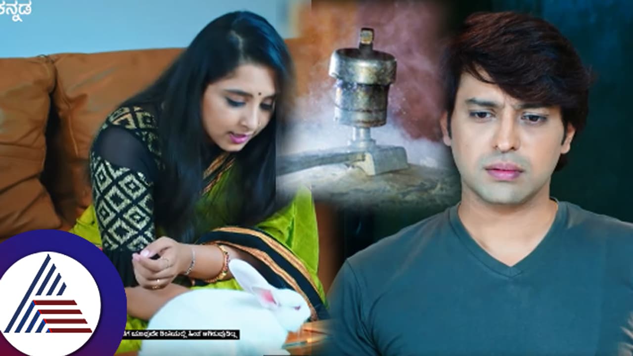 ಚಿನ್ನುಮರಿಯ ಜಯಂತ್​ ಅಂದ್ರೆ ಸುಮ್ನೆನಾ? ಮೊಲಕ್ಕೂ ಕೊಟ್ಟೇ ಬಿಟ್ಟ 'ಕುಕ್ಕರ್​ ಭಾಗ್ಯ'!