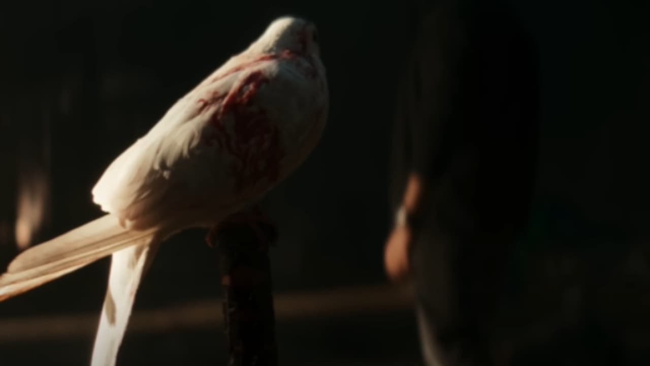 അമ്പമ്പോ..; റിലീസ് പ്രഖ്യാപിച്ചില്ല, അപ്പോഴേക്കും ലോക്കായത് 200 സ്ക്രീനുകൾ! കളംനിറഞ്ഞ് ആ മലയാള പടം