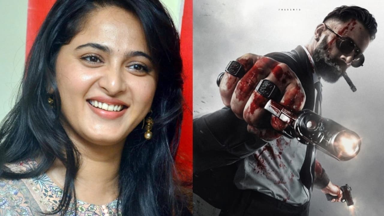 മലയാളവും ഹിന്ദിയും വൻ ഹിറ്റ്; 'മാർക്കോ'യെ തെലുങ്കുകാർക്ക് പരിചയപ്പെടുത്താൻ അനുഷ്ക ഷെട്ടി