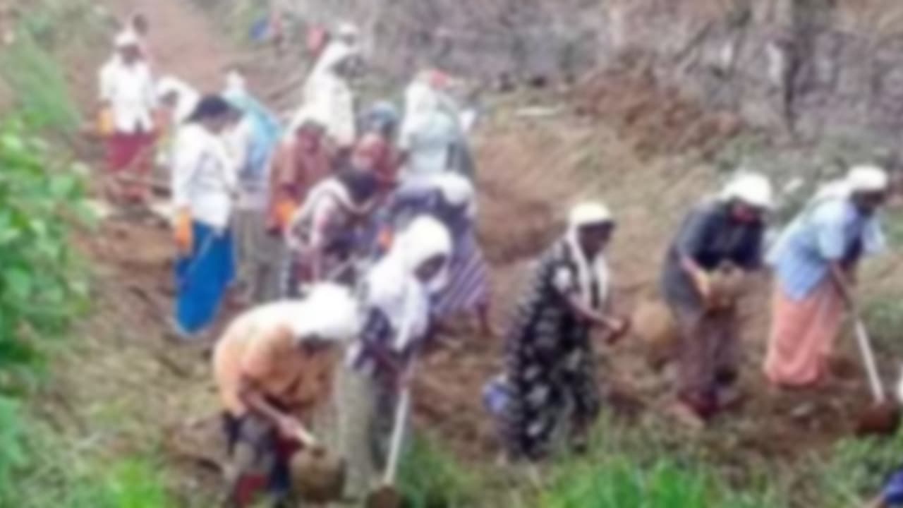 രേഖയിൽ വൻ കയ്യാല, ശരിക്കും ചെറുത്, 1360 മഴക്കുഴി, ഉള്ളത് 430, തൊഴിലുറപ്പിൽ മുക്കിയ പണം ജീവനക്കാർ തിരിച്ചടച്ചു