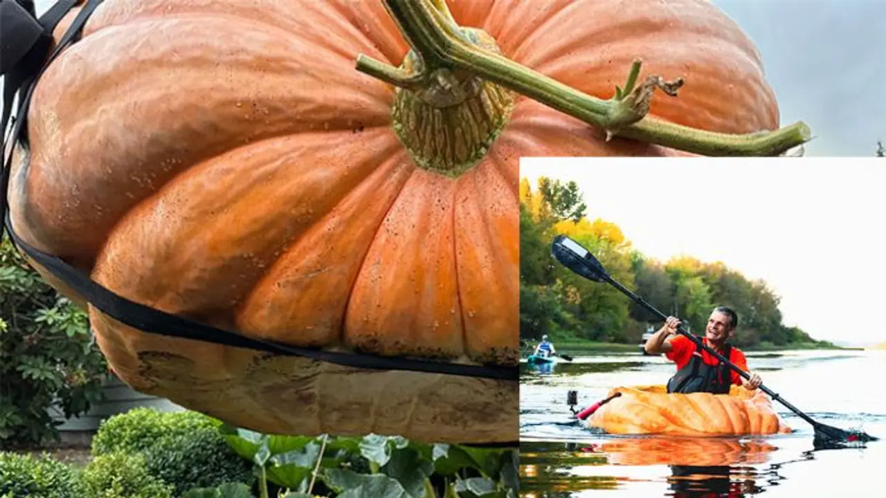 ಕುಂಬಳಕಾಯಿ ದೋಣಿಯಲ್ಲಿ 73 ಕಿ.ಮೀ ನದಿಯಲ್ಲಿ ಪ್ರಯಾಣಿಸಿ ವಿಶ್ವದಾಖಲೆ!