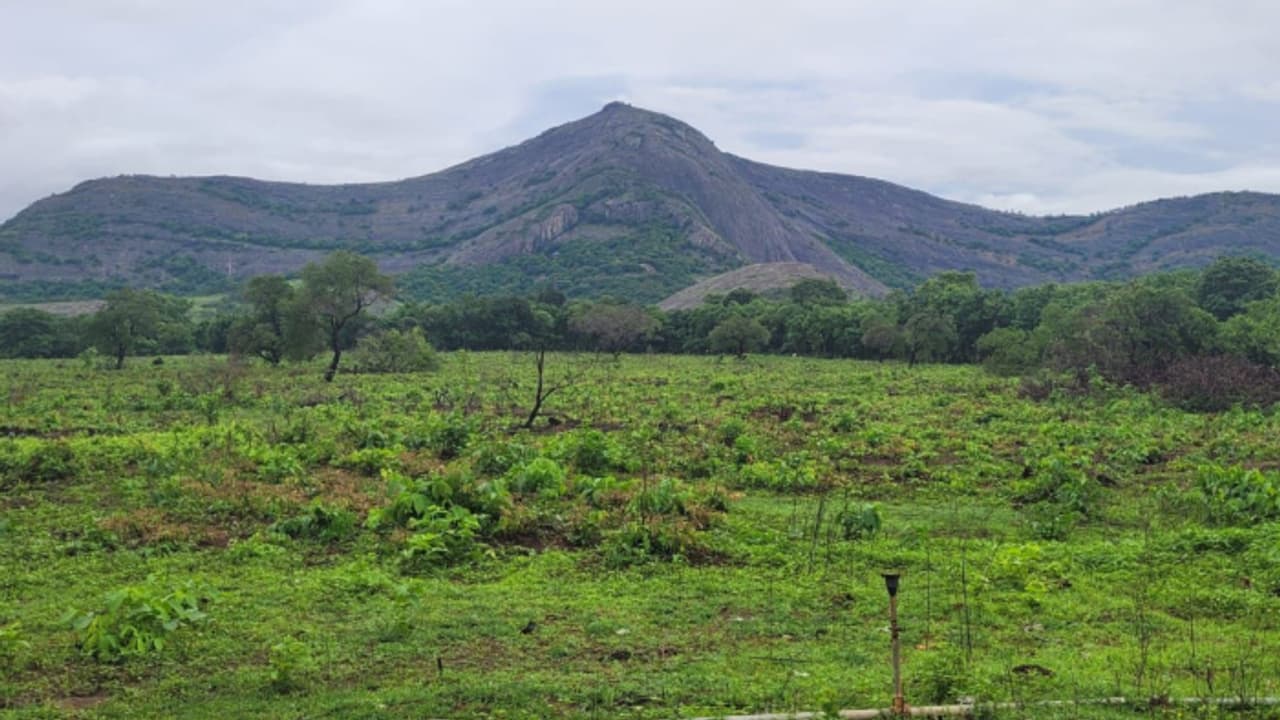 പാലക്കാട് 30 കോടിയുടെ ക്രിക്കറ്റ് സ്‌പോര്‍ട്‌സ് ഹബ് സ്റ്റേഡിയവുമായി കെ.സി.എ; നിര്‍മ്മാണം ജനുവരിയില്‍ തുടങ്ങും