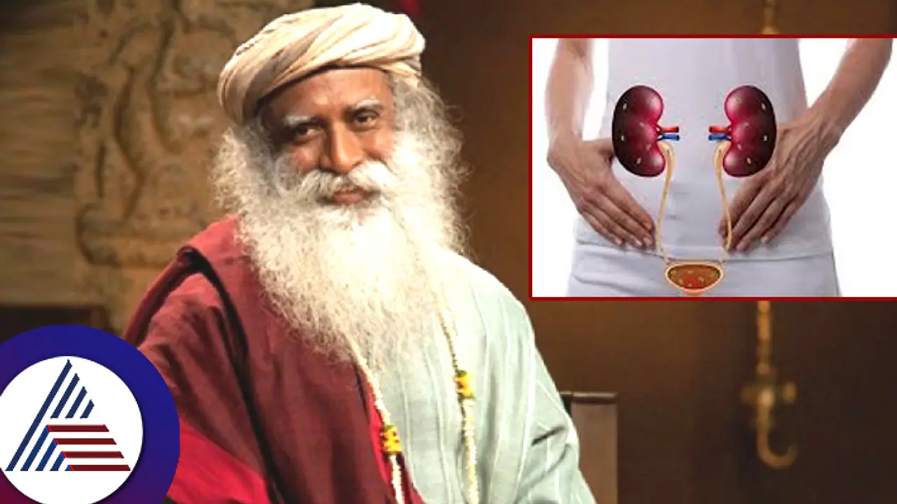 ಉರಿ ಮೂತ್ರಕ್ಕೆ ಐದೇ ನಿಮಿಷಗಳಲ್ಲಿ ಪರಿಹಾರ: ಸದ್ಗುರು ಜಗ್ಗಿ ವಾಸುದೇವ ಟಿಪ್ಸ್ ಕೇಳಿ... ಉರಿ ಮೂತ್ರಕ್ಕೆ ಐದೇ ನಿಮಿಷಗಳಲ್ಲಿ ಪರಿಹಾರ: ಸದ್ಗುರು ಜಗ್ಗಿ ವಾಸುದೇವ ಟಿಪ್ಸ್ ಕೇಳಿ...