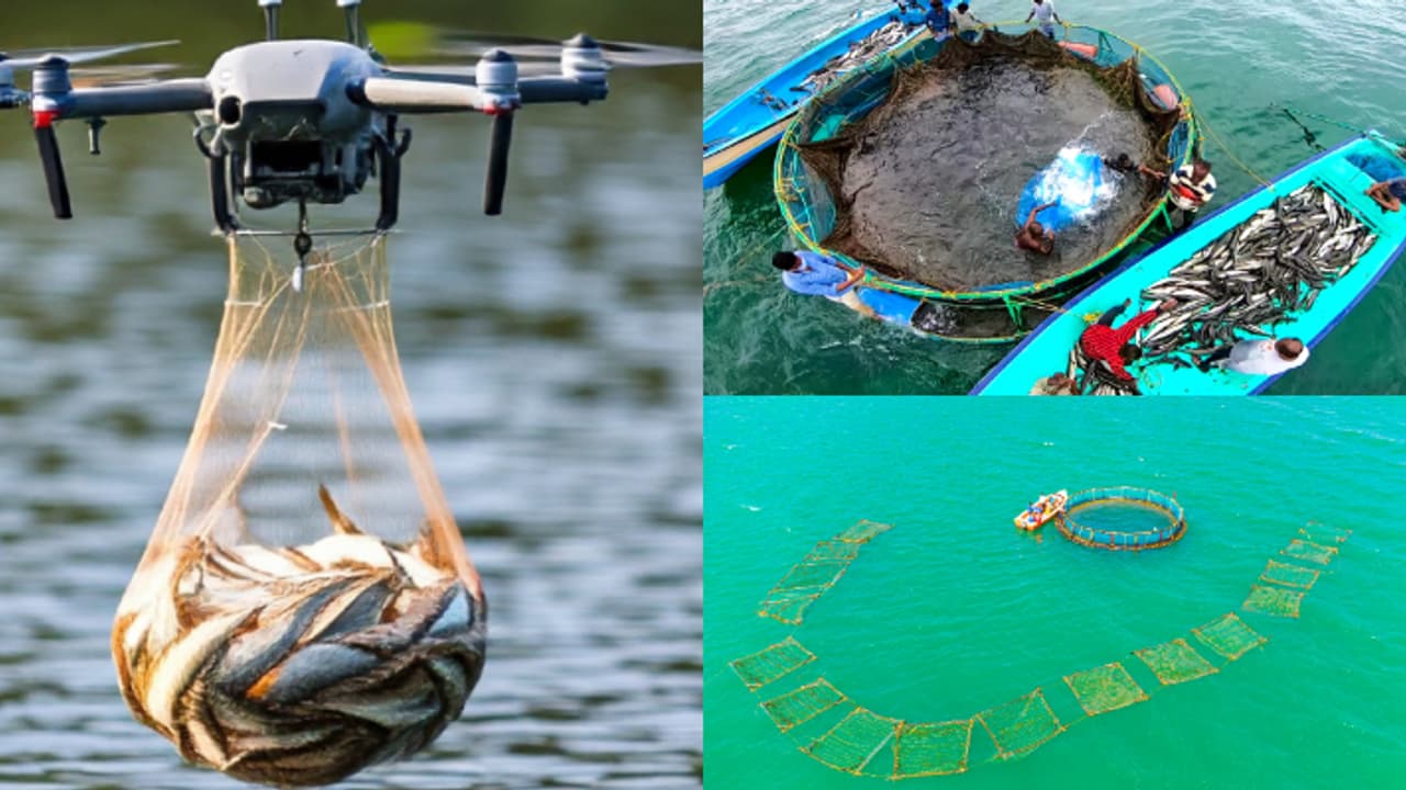 'വിത്ത് വിതയ്ക്കൽ, മീനുകൾക്ക് തീറ്റ വിതരണം, നിരീക്ഷണം', സമുദ്രമത്സ്യ മേഖലയിൽ മുന്നേറ്റത്തിന് ഡ്രോണുകൾ
