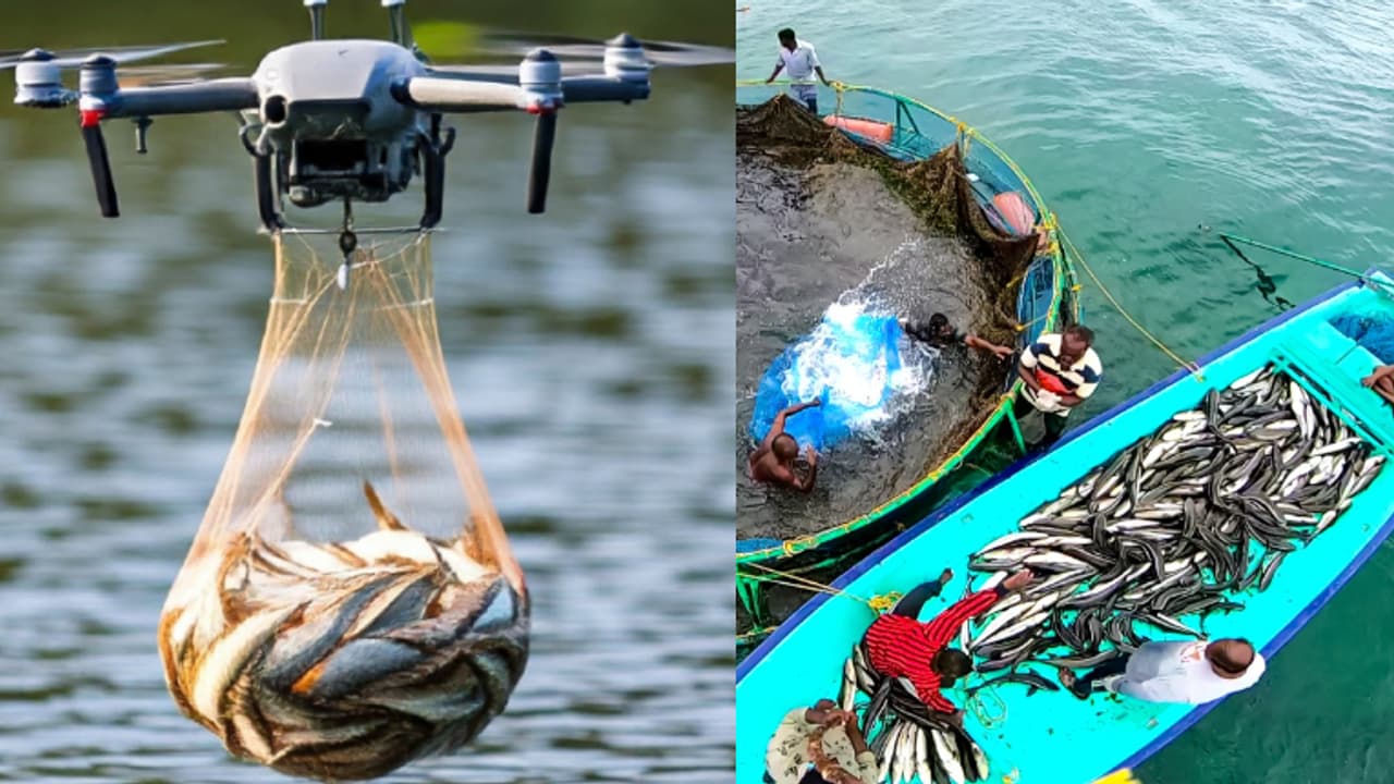 എന്തൊക്കെയാണിവൻ ചെയ്യുന്നത്! കാര്യമായി ഉപയോഗിക്കാൻ ഫിഷറീസ് മന്ത്രാലയം, മുന്നേറ്റത്തിന് ഡ്രോൺ സാങ്കേതികവിദ്യ എന്തൊക്കെയാണിവൻ ചെയ്യുന്നത്! കാര്യമായി ഉപയോഗിക്കാൻ ഫിഷറീസ് മന്ത്രാലയം, മുന്നേറ്റത്തിന് ഡ്രോൺ സാങ്കേതികവിദ്യ