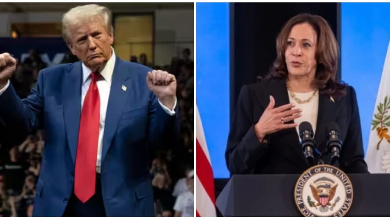 വിജയം ഉറപ്പിച്ചു, അണികളെ അഭിസംബോധന ചെയ്ത് ട്രംപ്; പ്രസംഗം ഒഴിവാക്കി കമല ഹാരിസ് വിജയം ഉറപ്പിച്ചു, അണികളെ അഭിസംബോധന ചെയ്ത് ട്രംപ്; പ്രസംഗം ഒഴിവാക്കി കമല ഹാരിസ്