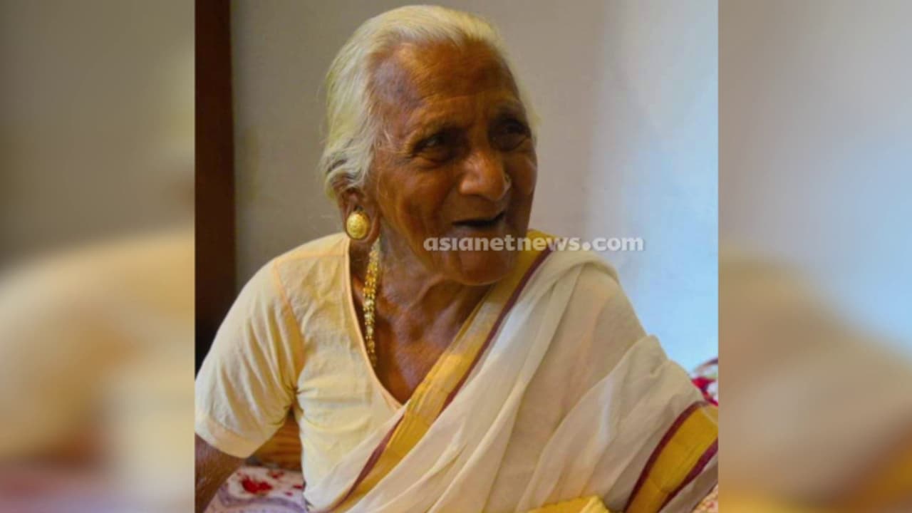 കോട്ടയത്ത് കടന്നൽ ആക്രമണത്തിൽ വയോധികയ്ക്ക് ദാരുണാന്ത്യം, മകള്‍ക്ക് പരിക്ക് 