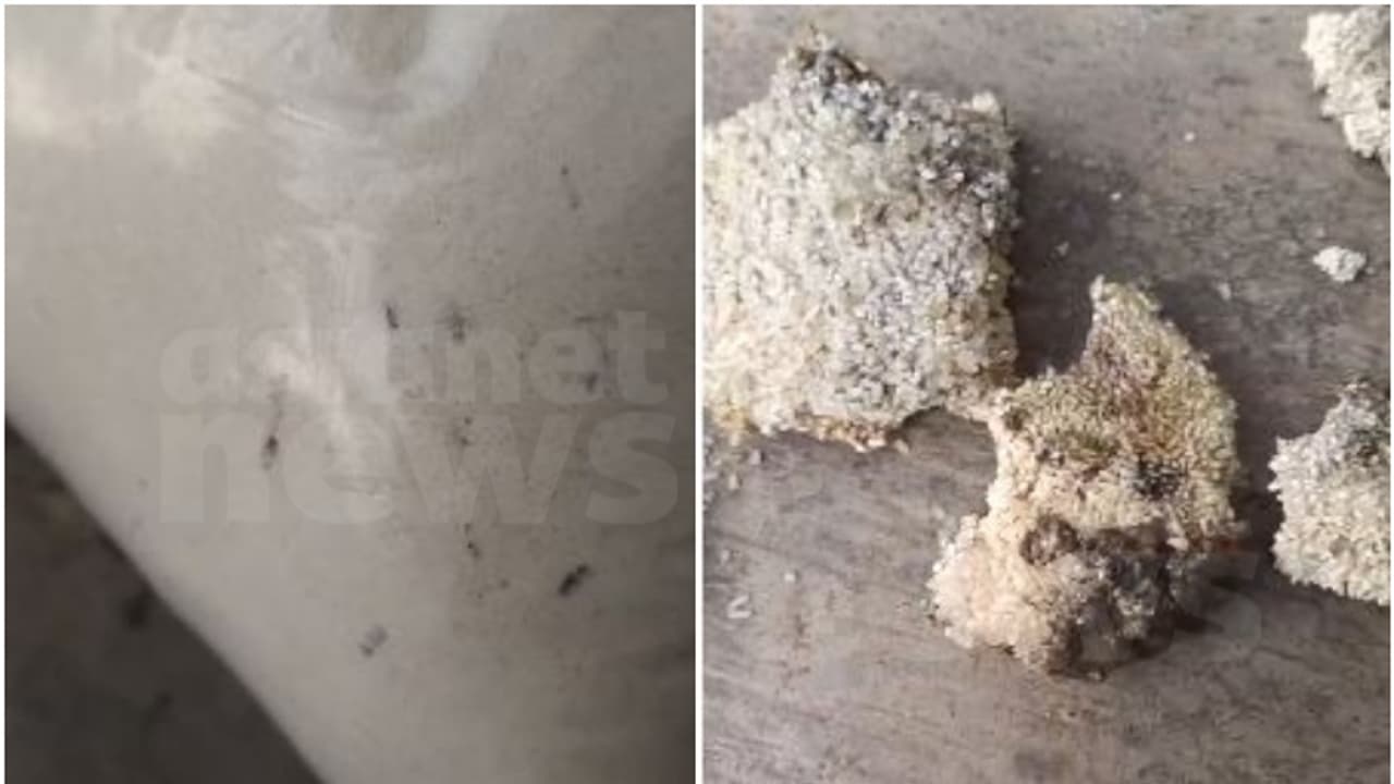 Kerala: Wayanad landslide survivors allege receiving worm infested food kits, stages protest Kerala: Wayanad landslide survivors allege receiving worm infested food kits, stages protest