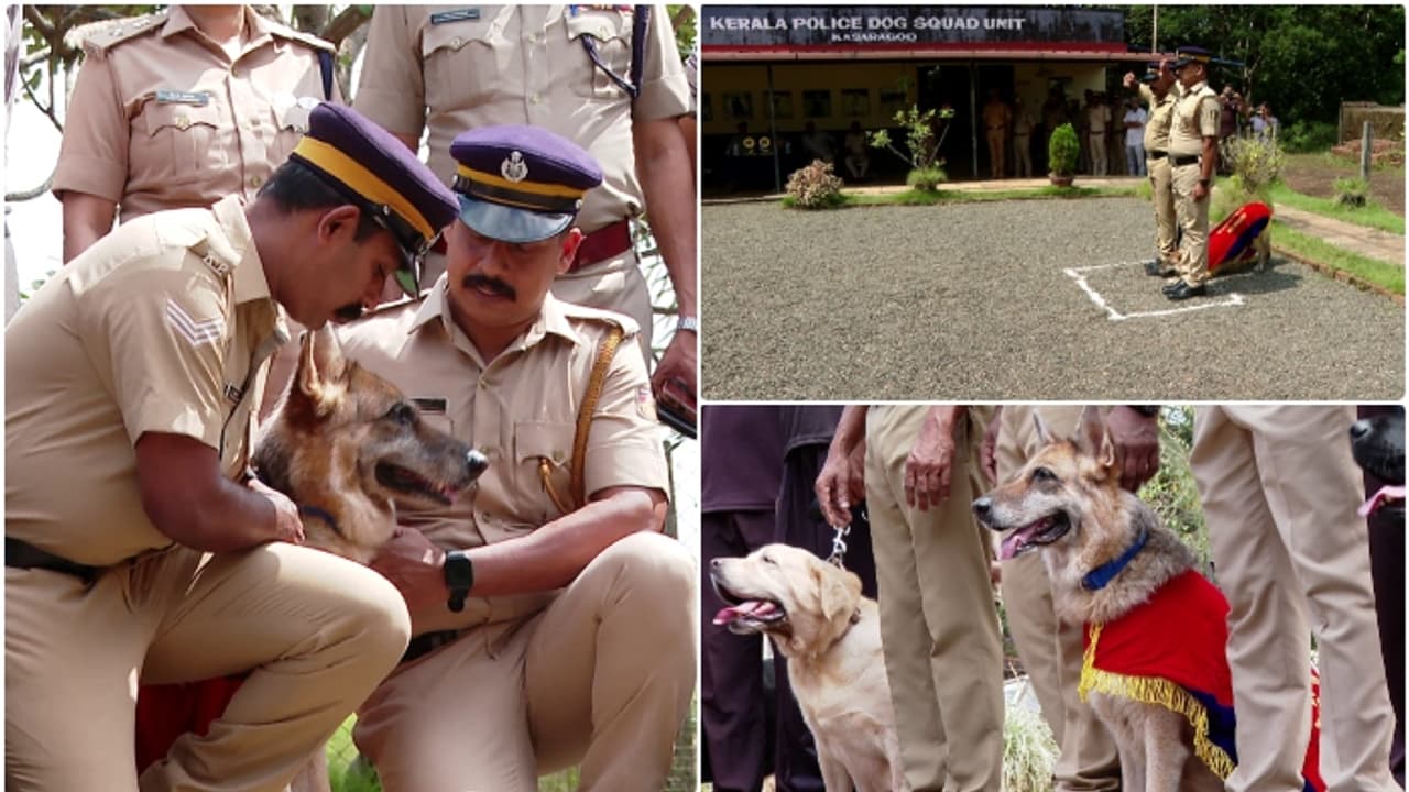 500 ലേറെ കേസുകൾ, എട്ടര വര്ഷത്തെ സേവനം, ഇനി 'വിശ്രമ ജീവിതം'; റൂണിക്ക് പൊലീസിന്റെ യാത്രയയപ്പ് 500 ലേറെ കേസുകൾ, എട്ടര വര്ഷത്തെ സേവനം, ഇനി 'വിശ്രമ ജീവിതം'; റൂണിക്ക് പൊലീസിന്റെ യാത്രയയപ്പ്