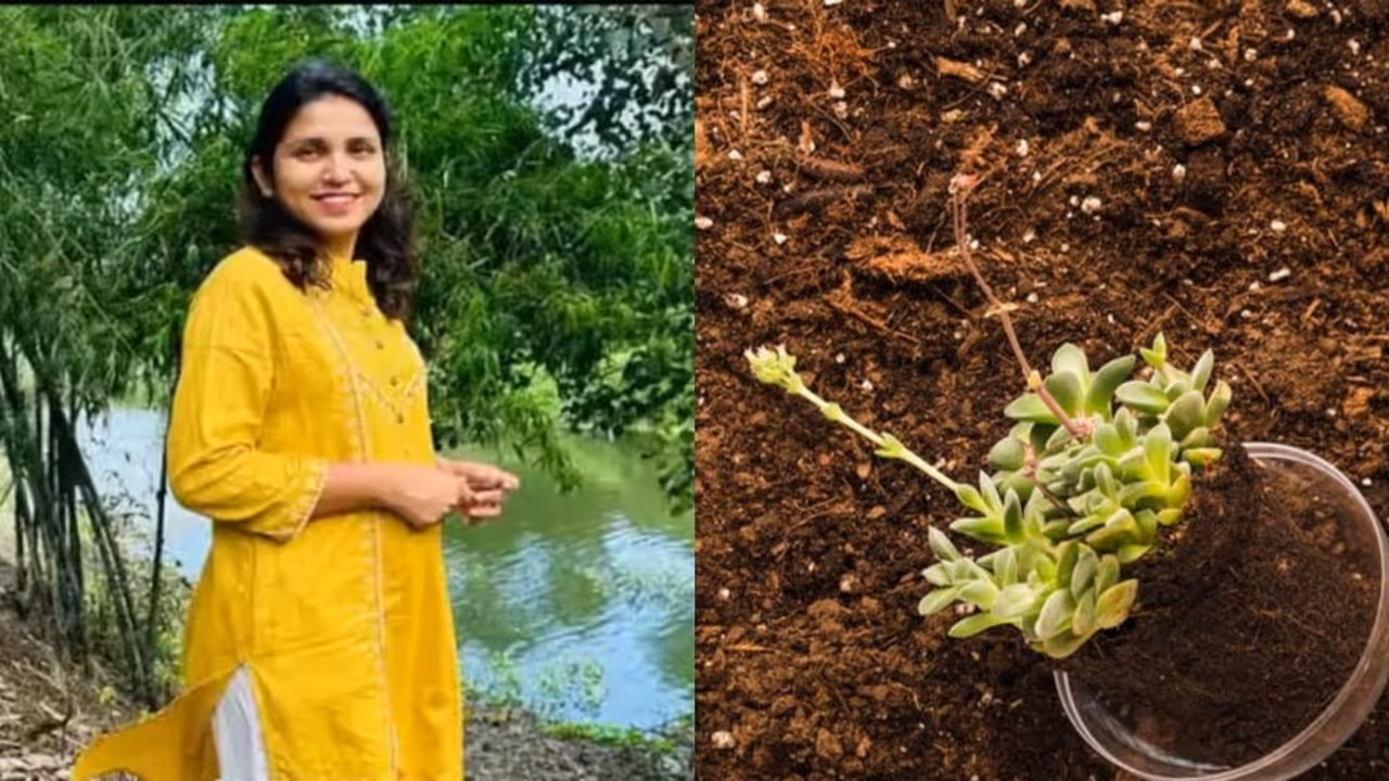 This nurse quit her job to start a vermicompost business; makes Rs 24 lakh in a year now This nurse quit her job to start a vermicompost business; makes Rs 24 lakh in a year now