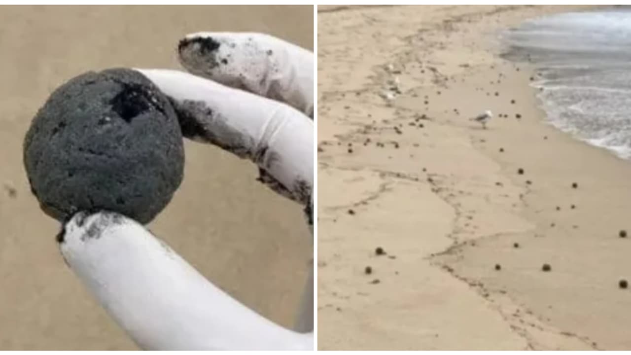 അസഹ്യ ദുർഗന്ധം, ബീച്ചുകളിൽ കാണപ്പെട്ട നിഗൂഡമായ കറുത്ത ചെറിയ പന്തുകൾ പോലെയുള്ള വസ്തു; ആശങ്കയോടെ നാട് അസഹ്യ ദുർഗന്ധം, ബീച്ചുകളിൽ കാണപ്പെട്ട നിഗൂഡമായ കറുത്ത ചെറിയ പന്തുകൾ പോലെയുള്ള വസ്തു; ആശങ്കയോടെ നാട്