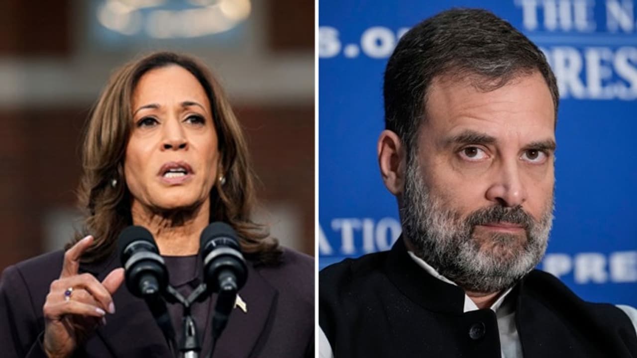 'One loser writes to another': Rahul Gandhi trolled for lauding Kamala Harris after US presidential loss 'One loser writes to another': Rahul Gandhi trolled for lauding Kamala Harris after US presidential loss