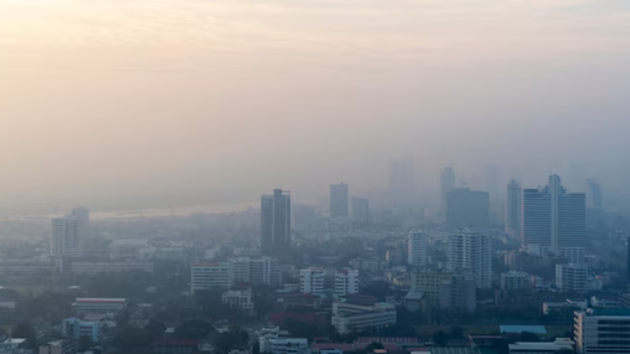 ശുചിമുറികളോ ശുദ്ധ ജലമോ ഇല്ല, ദുരിത ജീവിതം; തെരഞ്ഞെടുപ്പിന് മുൻപെങ്കിലും ആവശ്യങ്ങൾ നിറവേറ്റുമോയെന്ന് ജനം ശുചിമുറികളോ ശുദ്ധ ജലമോ ഇല്ല, ദുരിത ജീവിതം; തെരഞ്ഞെടുപ്പിന് മുൻപെങ്കിലും ആവശ്യങ്ങൾ നിറവേറ്റുമോയെന്ന് ജനം