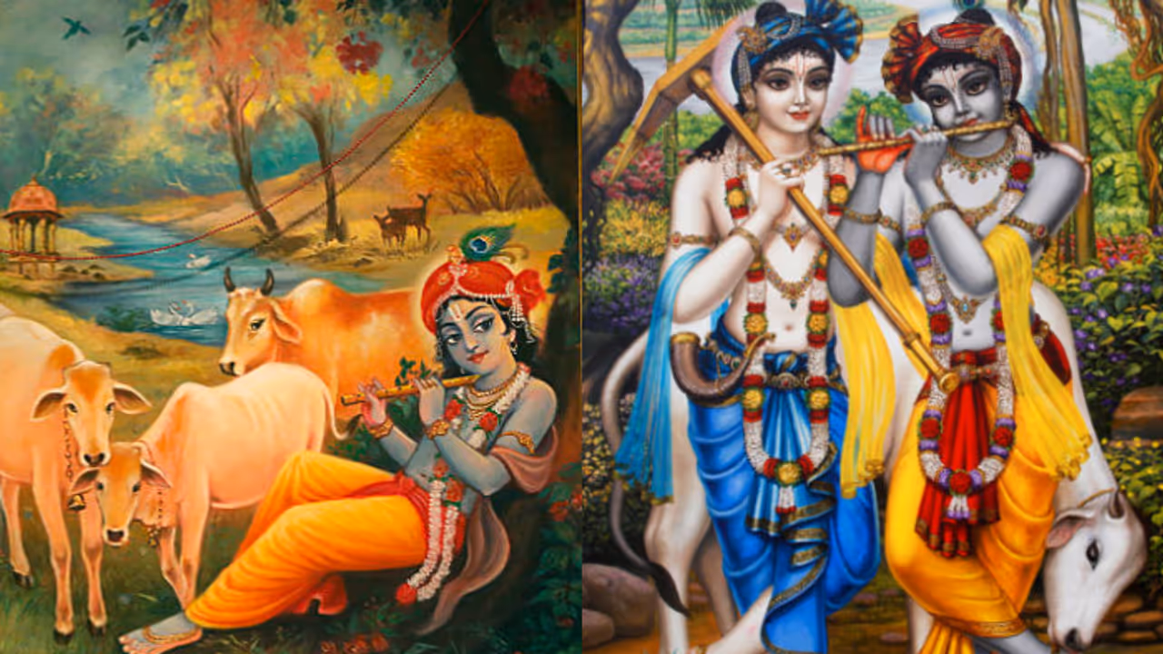 Gopashtami 2024: Know history, significance, puja rituals Gopashtami 2024: Know history, significance, puja rituals