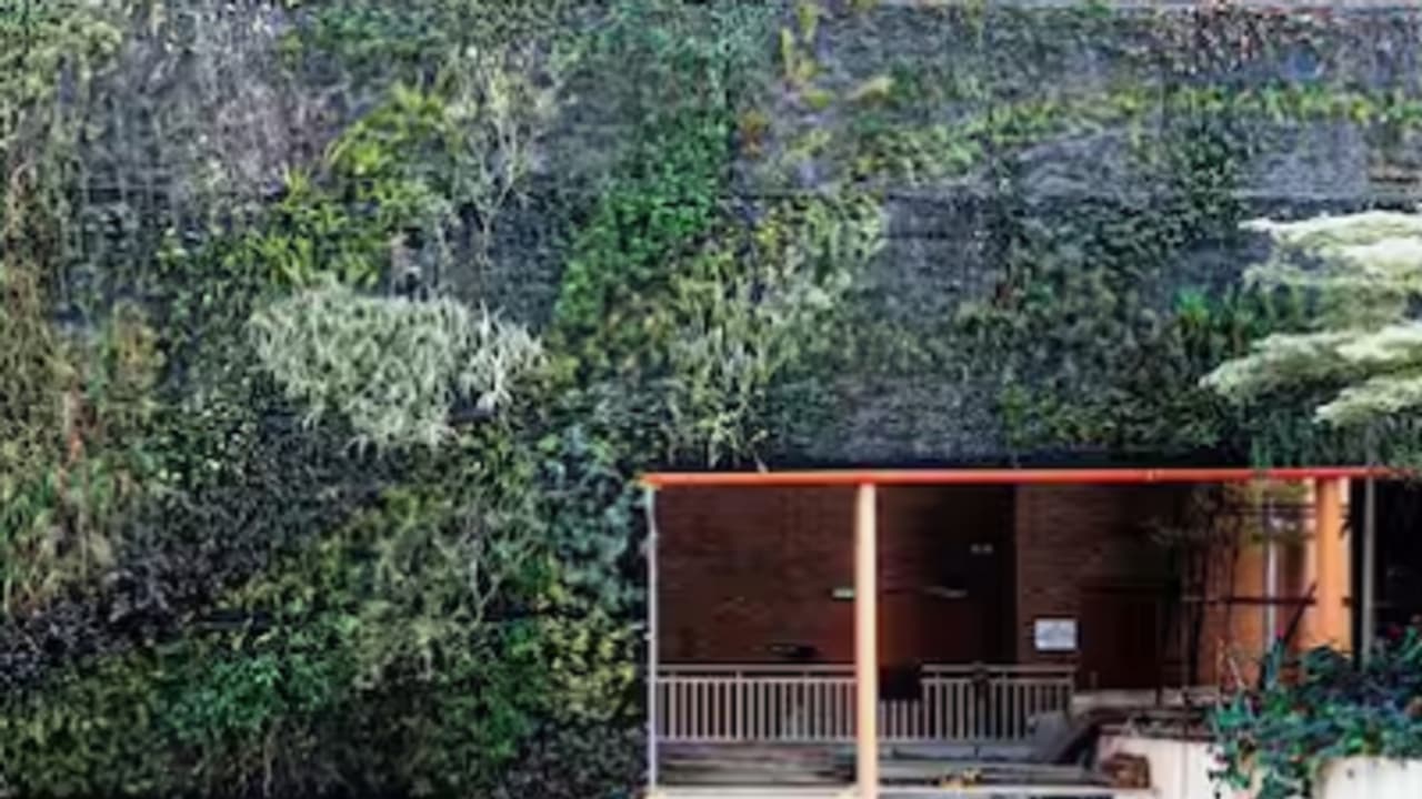 ಬೆಂಗಳೂರು ಏರ್ಪೋರ್ಟ್ನ ಟರ್ಮಿನಲ್ 2ರಲ್ಲಿ ಮಣ್ಣು ರಹಿತ ವರ್ಟಿಕಲ್ ಗಾರ್ಡನ್ ಅಭಿವೃದ್ಧಿ ಬೆಂಗಳೂರು ಏರ್ಪೋರ್ಟ್ನ ಟರ್ಮಿನಲ್ 2ರಲ್ಲಿ ಮಣ್ಣು ರಹಿತ ವರ್ಟಿಕಲ್ ಗಾರ್ಡನ್ ಅಭಿವೃದ್ಧಿ