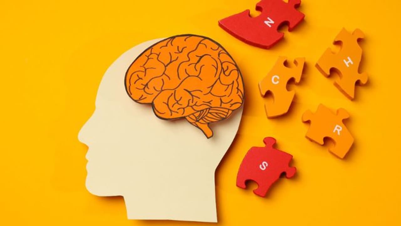 ನೆನಪುಗಳು ಮೆದುಳಲ್ಲಿ ಮಾತ್ರವೇ ಇರೋದಿಲ್ಲ, ಕಿಡ್ನಿಯಲ್ಲೂ ಇರುತ್ತಂತೆ!