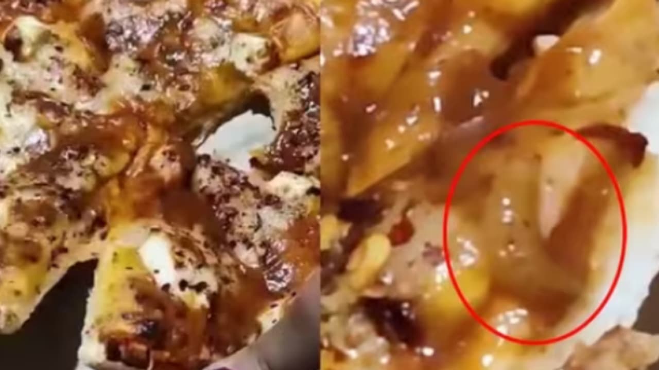 'ബ്രോ ഒരു പിസ്സ ഓർഡർ ചെയ്തു, പക്ഷെ കണ്ടില്ലേ ഇതാണ് അവസ്ഥ', സോഷ്യൽ മീഡിയയിൽ വൈറലായി വീഡിയോ, പിസയിൽ പുഴുക്കൾ