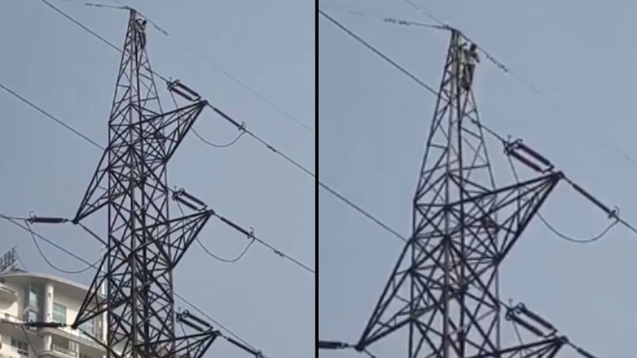 വൈദ്യുത ടവറിന്‍റെ ഏറ്റവും മുകളിൽ കയറി നൃത്തംചെയ്ത് യുവാവ്; താഴെയിറക്കിയത് രണ്ട് മണിക്കൂർ നീണ്ട പരിശ്രമത്തിലൂടെ