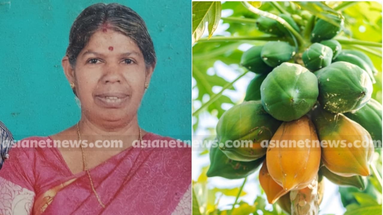 ടെറസിൽ നിന്ന് പപ്പായ പറിക്കുന്നതിനിടെ കാൽ വഴുതി താഴേക്ക് വീണു, വീട്ടമ്മക്ക് ദാരുണാന്ത്യം 