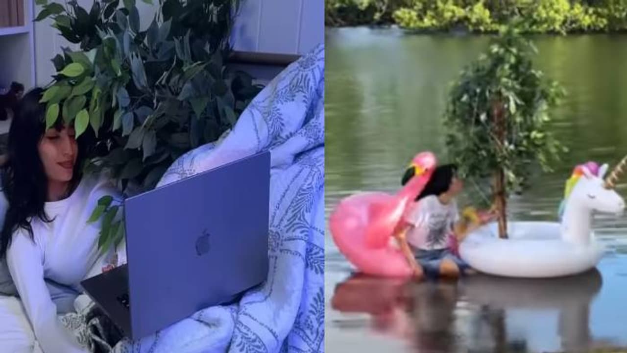 യുവതി പ്രേമിക്കുന്നത് മരത്തെ, ഉണ്ണുന്നതും ഉറങ്ങുന്നതും പുറത്തുപോകുന്നതുമെല്ലാം ഈ വിചിത്രകാമുകനൊപ്പം..!