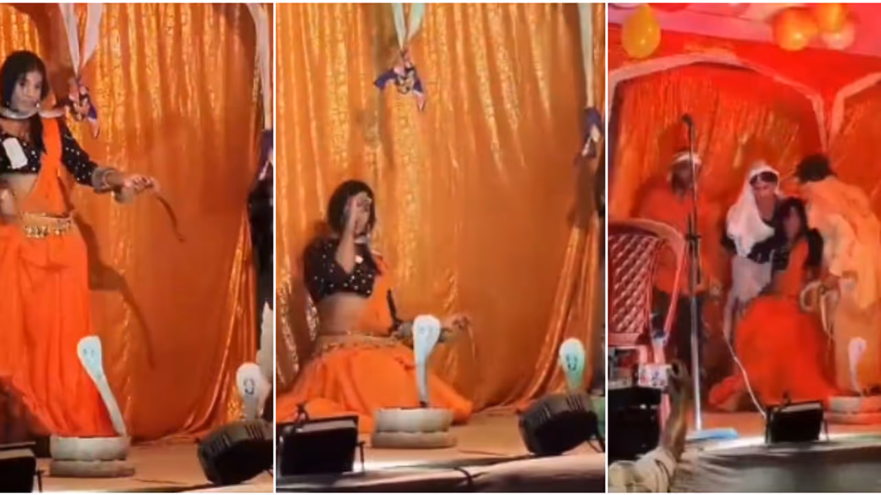 വിഷപ്പാമ്പിനെ കഴുത്തിൽച്ചുറ്റി നൃത്തം, കടിച്ചതറിഞ്ഞില്ല, യുവാവ് സ്റ്റേജിൽ കുഴഞ്ഞുവീണു