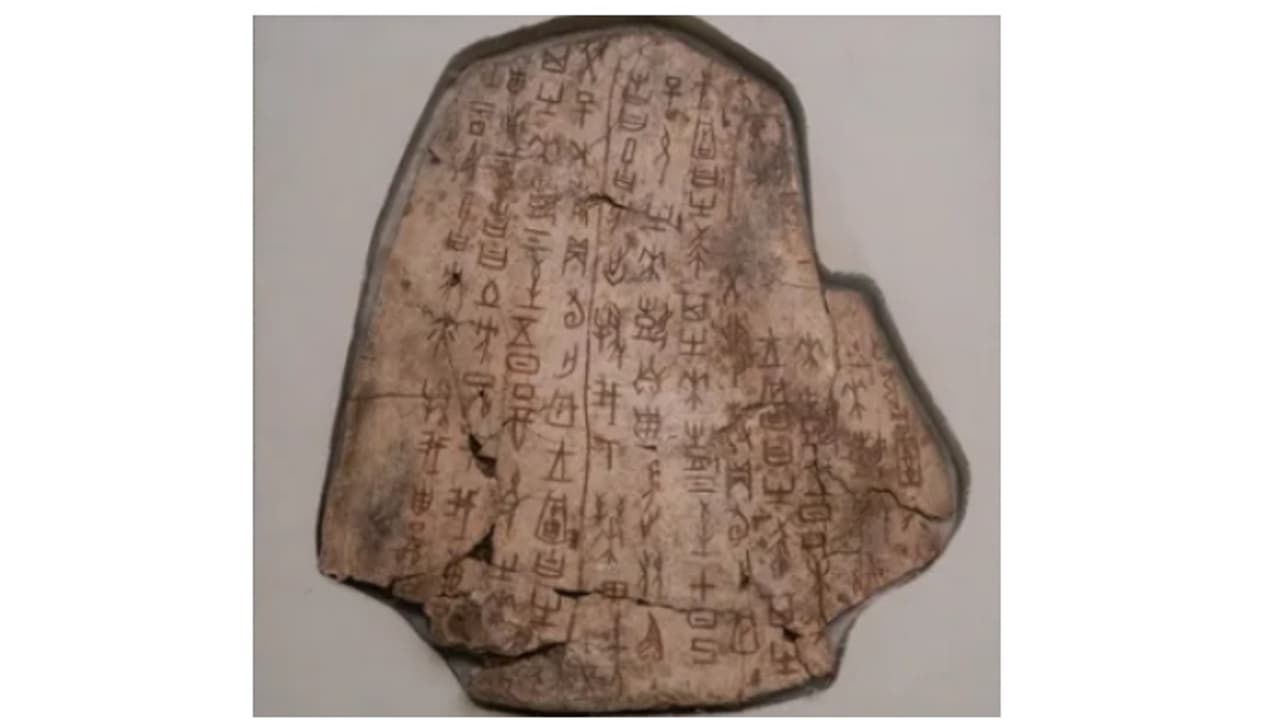 ഭാവി പ്രവചിച്ച അസ്ഥികൾ; ചൈനയിൽ നിന്നും ലഭിച്ചത് 3,250 വർഷം പഴക്കമുള്ള ലിഖിതങ്ങളോട് കൂടിയ ആമത്തോടും അസ്ഥികളും 