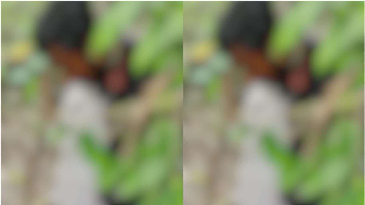 കഴുത്തിൽ തുണി ചുറ്റി മരത്തില്‍ തൂങ്ങിയ നിലയിൽ യുവാവ്; ദുരൂഹത, അന്വേഷണം തുടങ്ങി പൊലീസ്