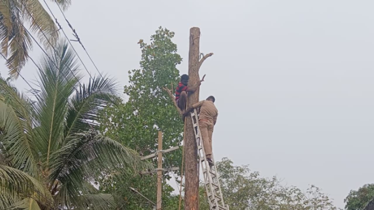 മരം മുറിക്കിടയില്‍ ചില്ല അടർന്ന് വീണ് കയ്യൊടിഞ്ഞു, ഇറങ്ങാനാകാതെ തൊഴിലാളി കുടുങ്ങി, രക്ഷയ്ക്കെത്തി ഫയർഫോഴ്സ്